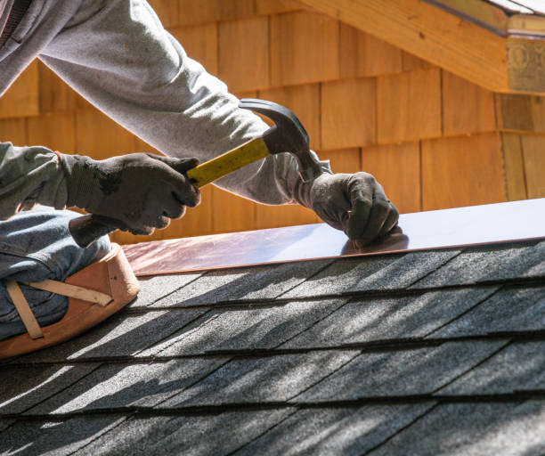 Best Roof Gutter Cleaning  in Sutton Alpine, AK